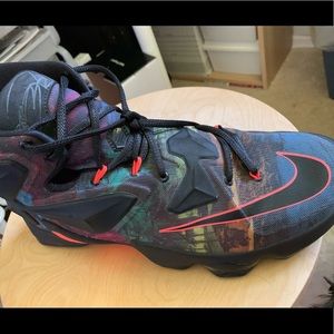 LeBron Akronite 13